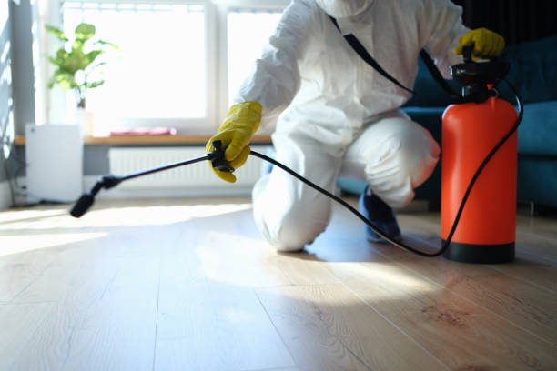 Reliable Odor Removal contractor in Lexington, TX by Crime Scene Cleaner Online
